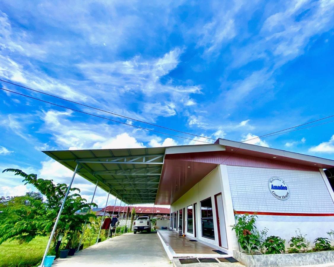 Amadeo Guest House Ratodena Bagian luar foto
